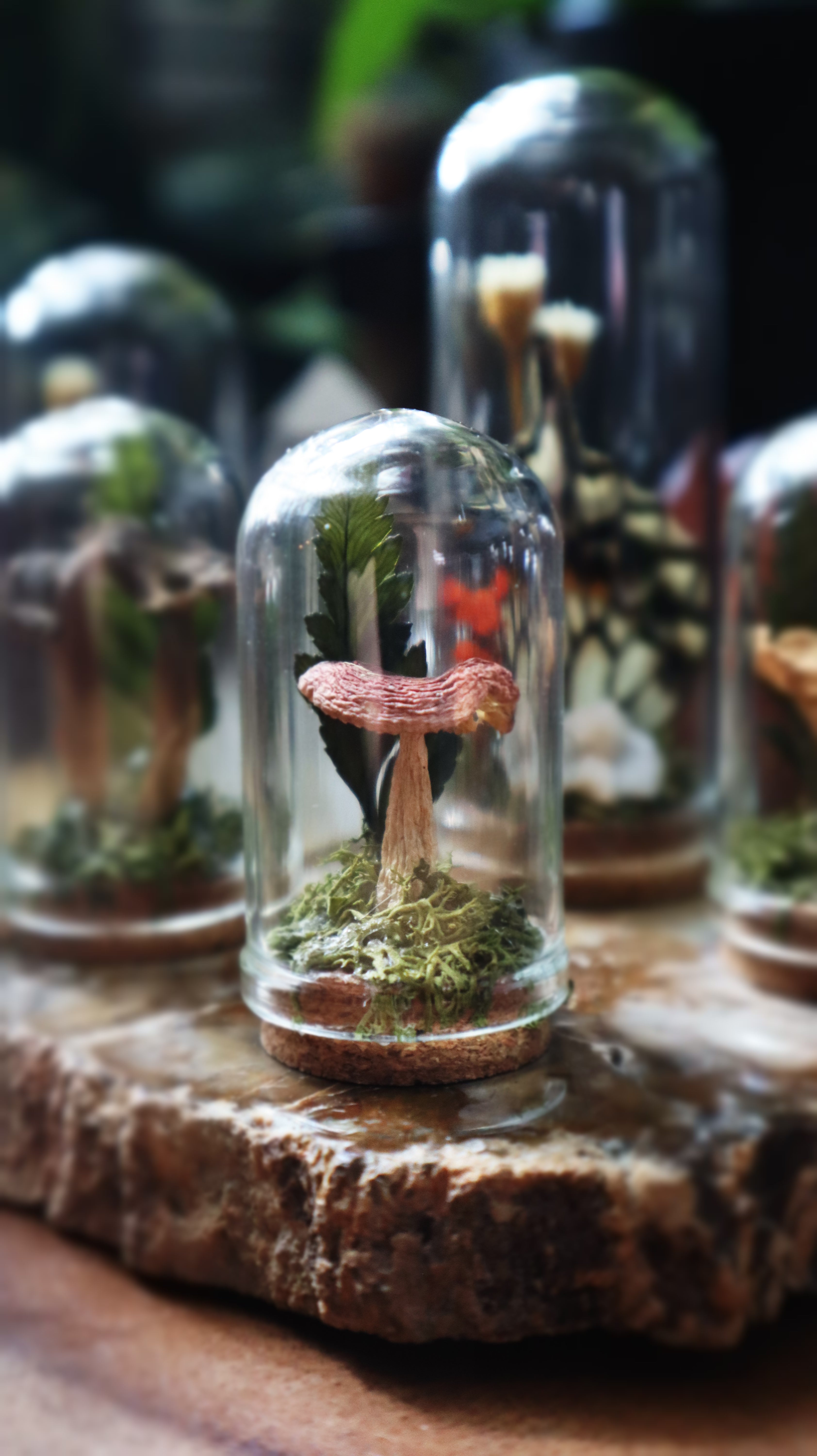 Mini Red Russula Mushroom