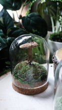 Load image into Gallery viewer, Medium Mushroom Dome
