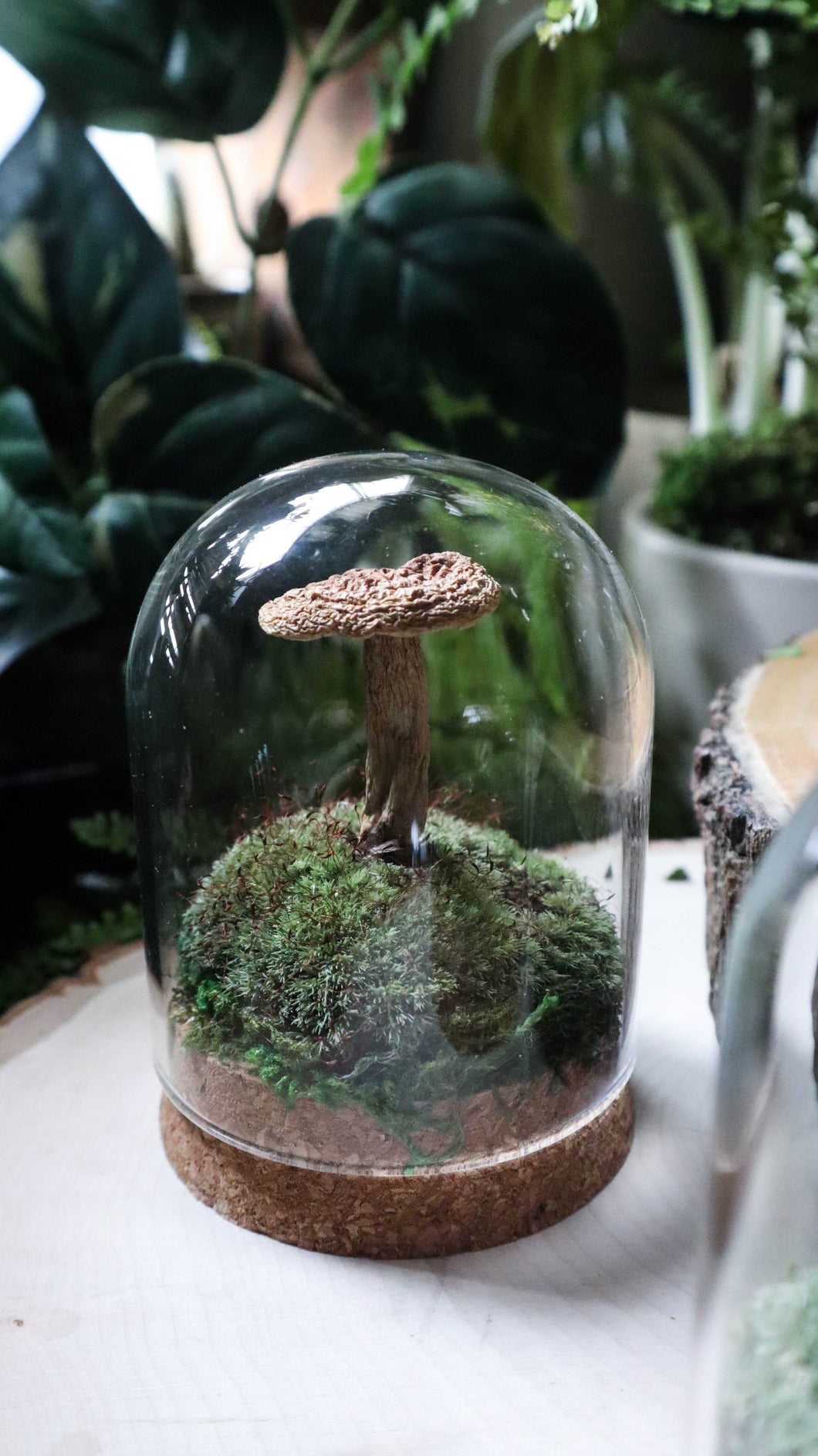 Medium Mushroom Dome