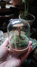 Load image into Gallery viewer, Medium Mushroom Dome
