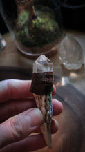 Load image into Gallery viewer, Clear Quartz Crystal Anlter Wand
