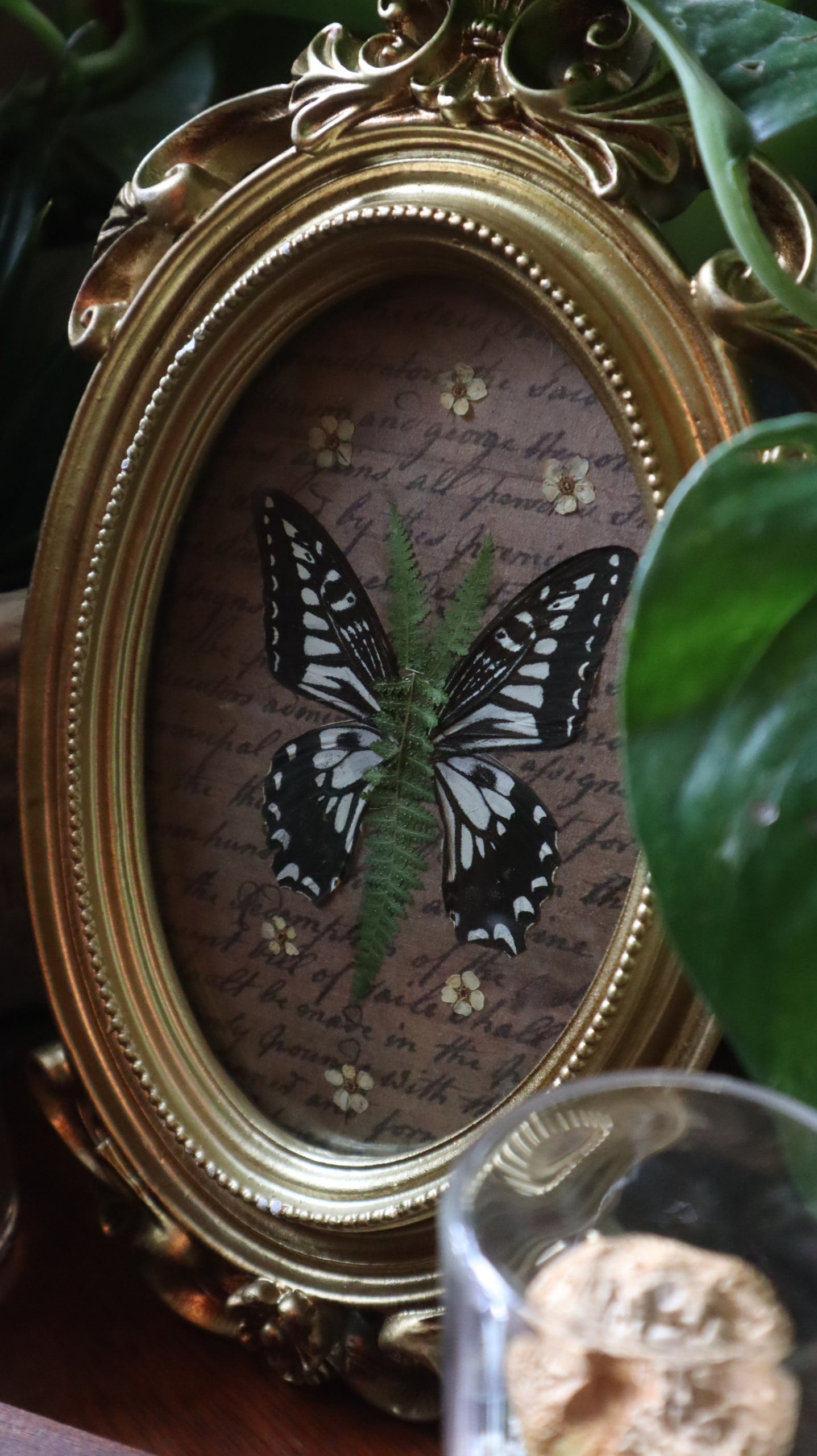 Fern Butterfly Frame