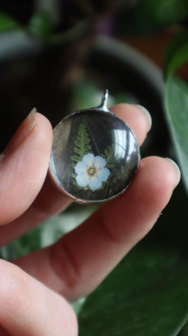 Forget-Me-Nots & Butterfly Wing Necklace
