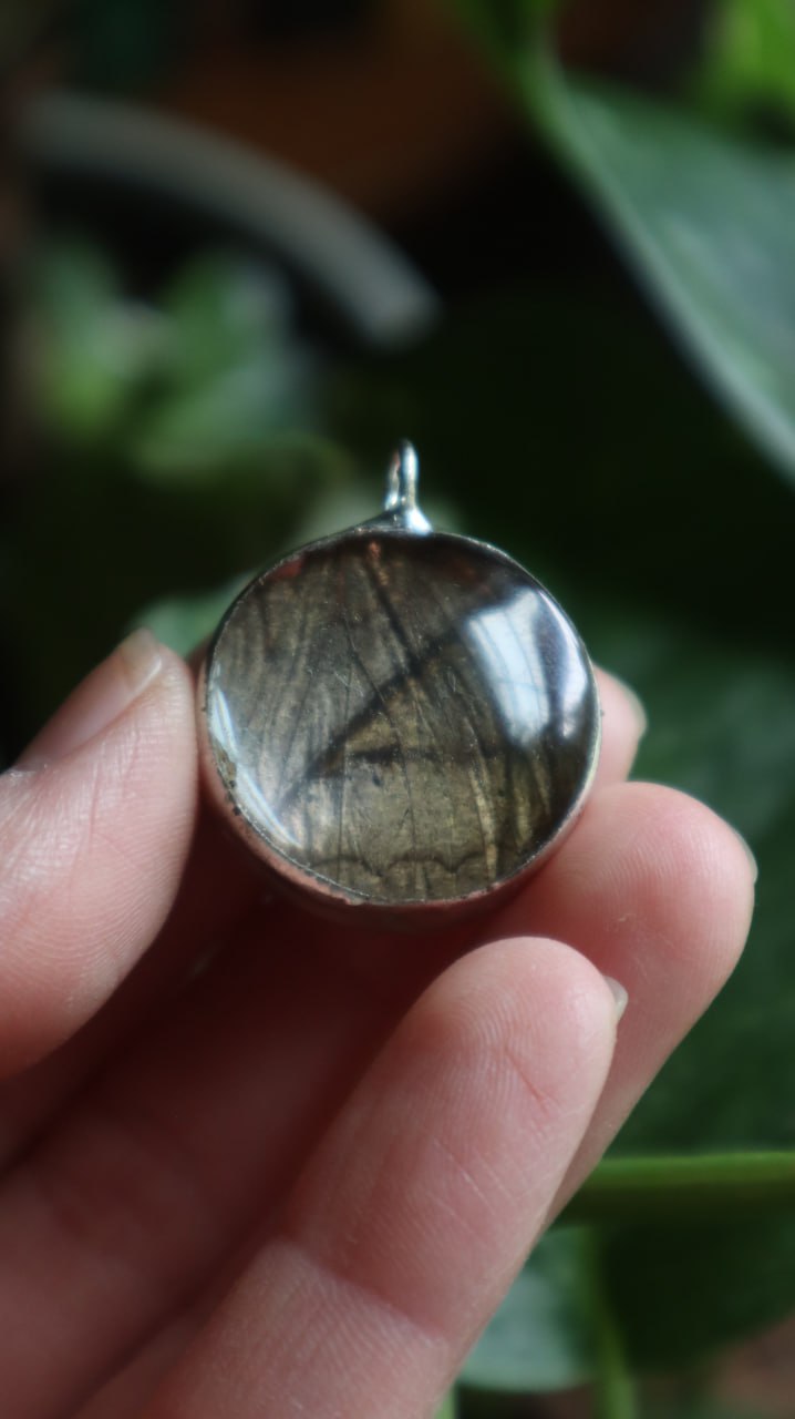 Forget-Me-Nots & Butterfly Wing Necklace