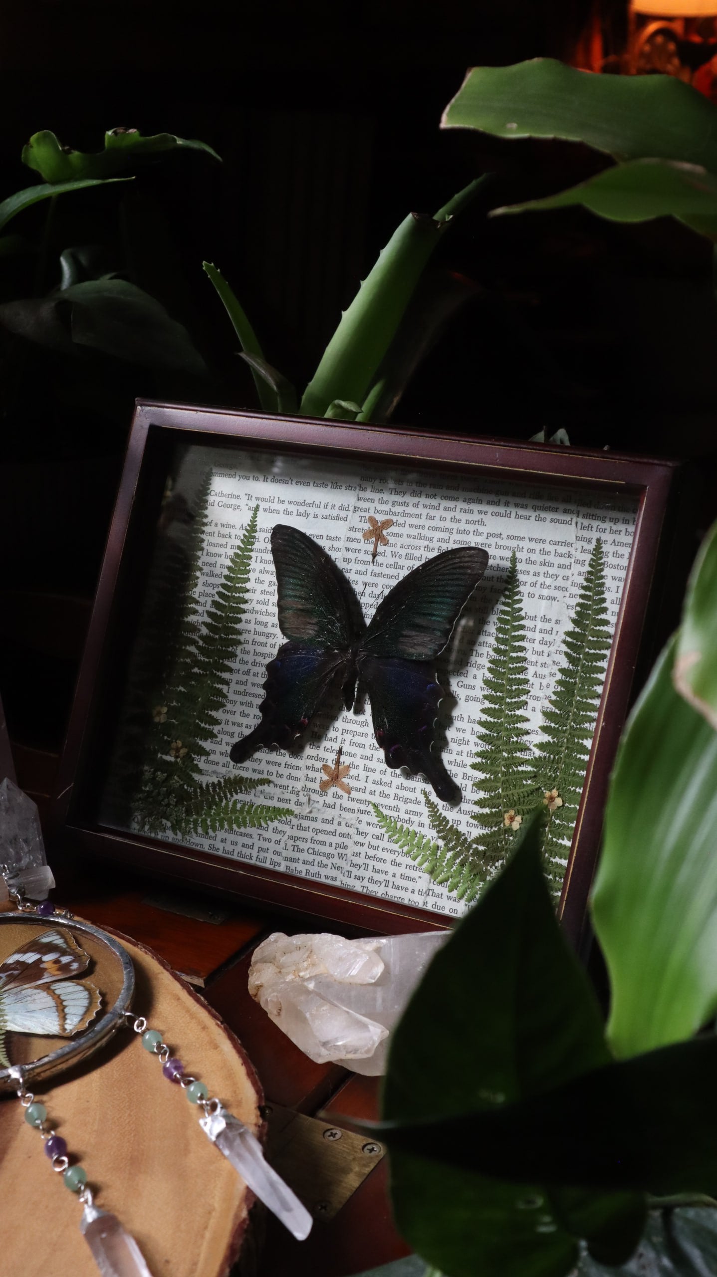 Blue & Green Swallowtail