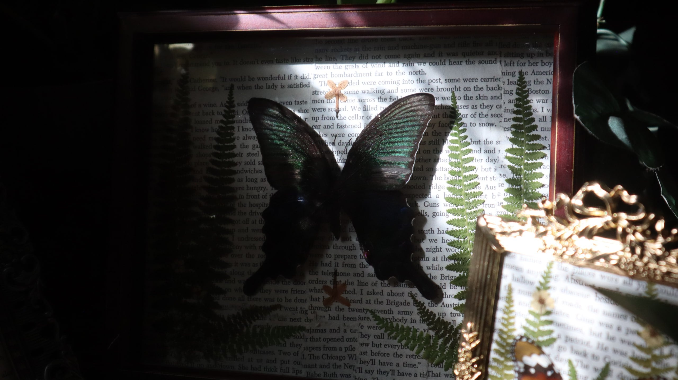 Blue & Green Swallowtail