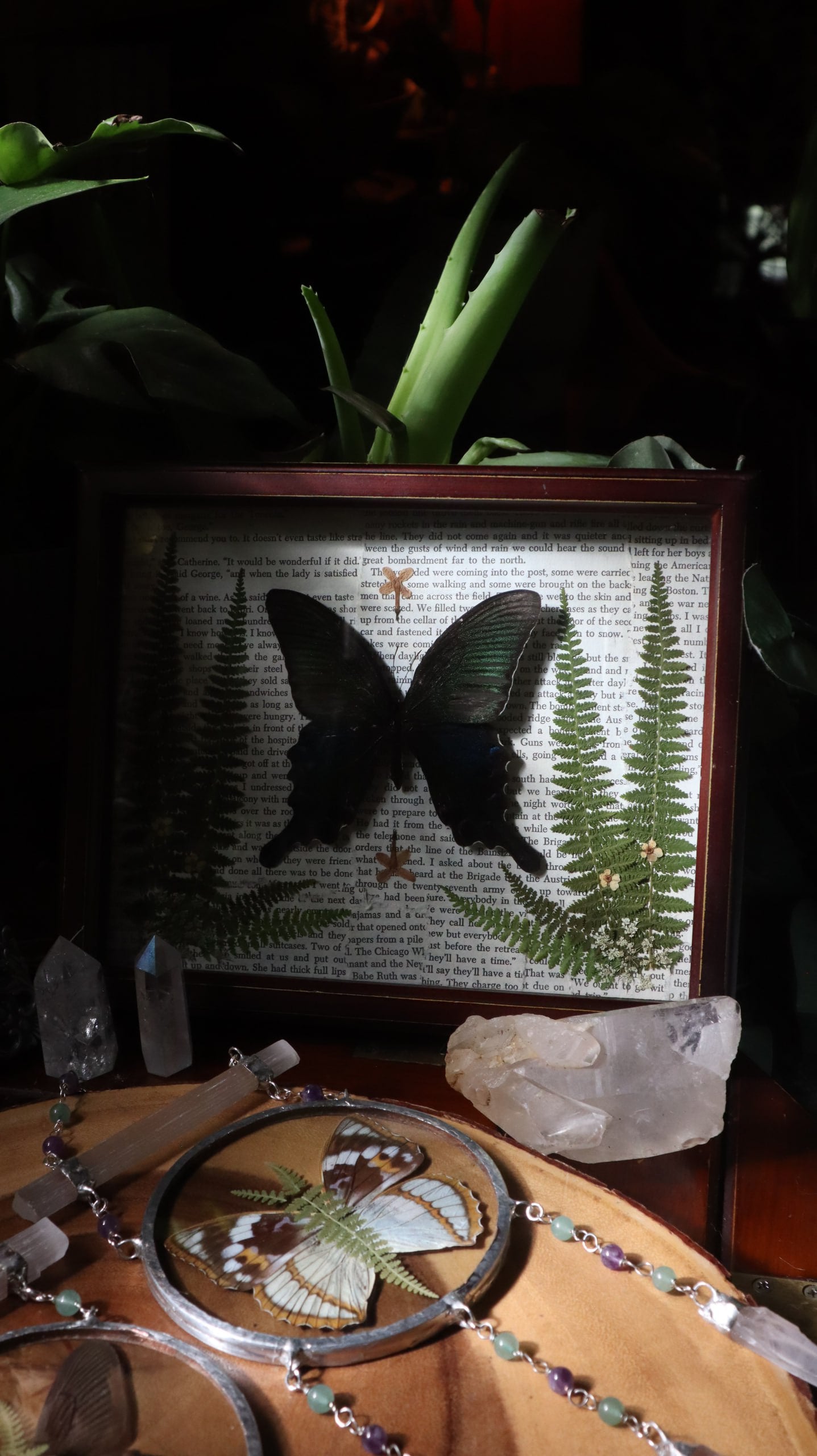 Blue & Green Swallowtail