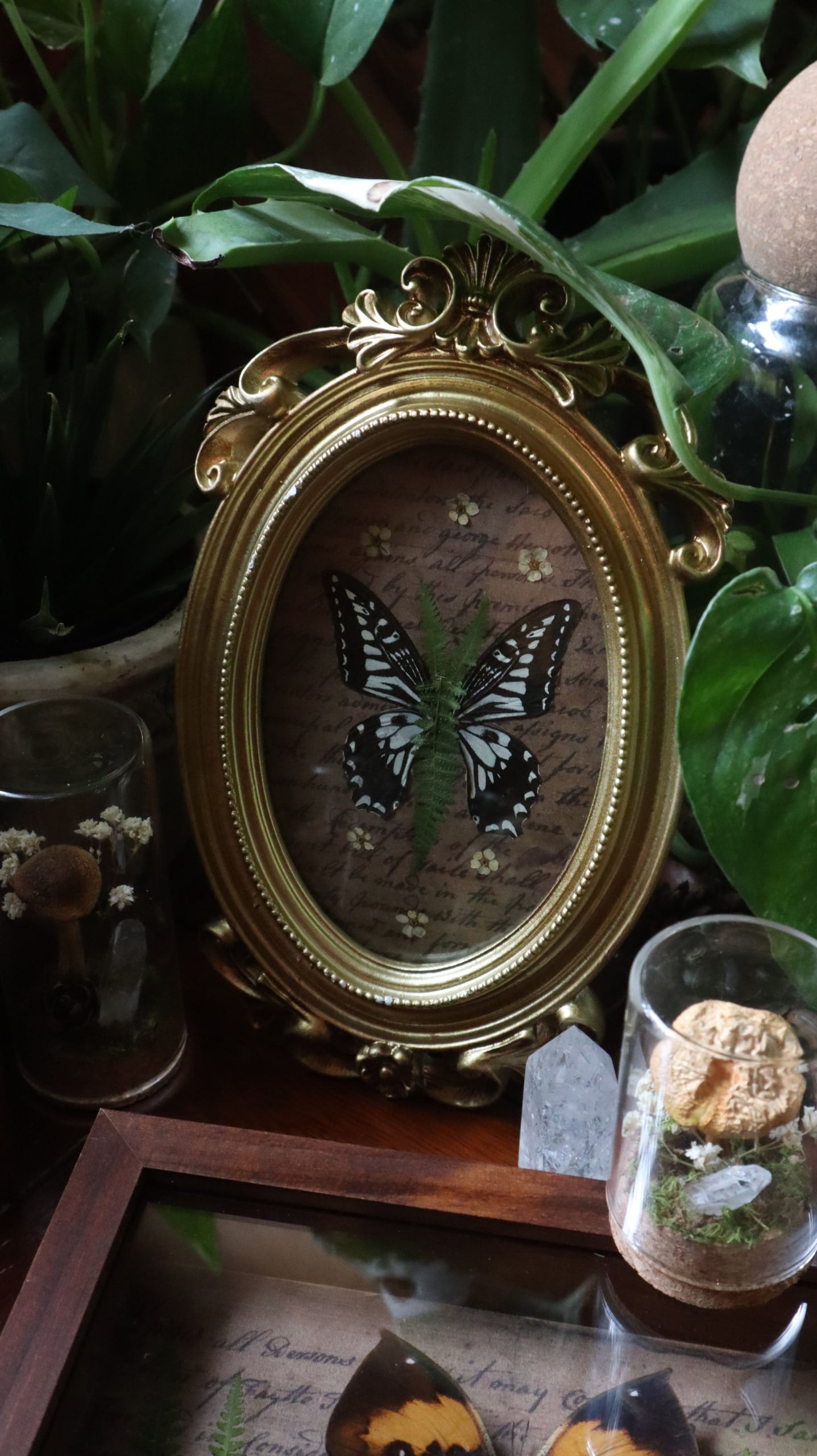 Fern Butterfly Frame
