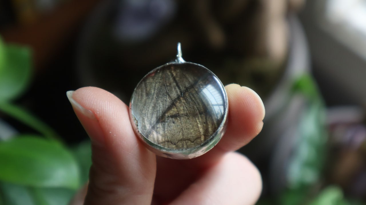Forget-Me-Nots & Butterfly Wing Necklace
