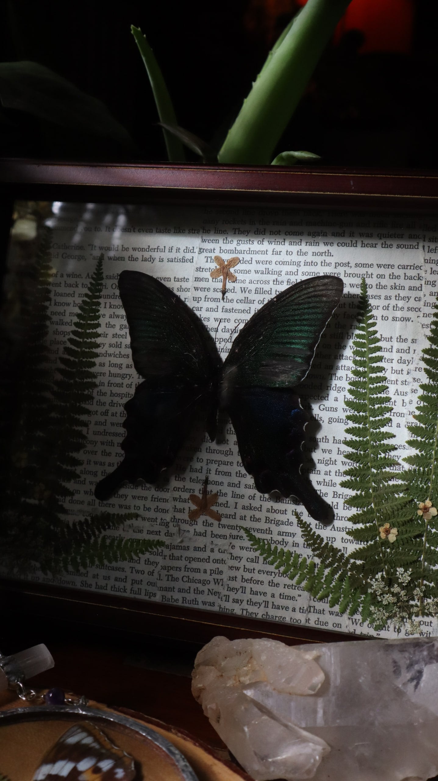 Blue & Green Swallowtail