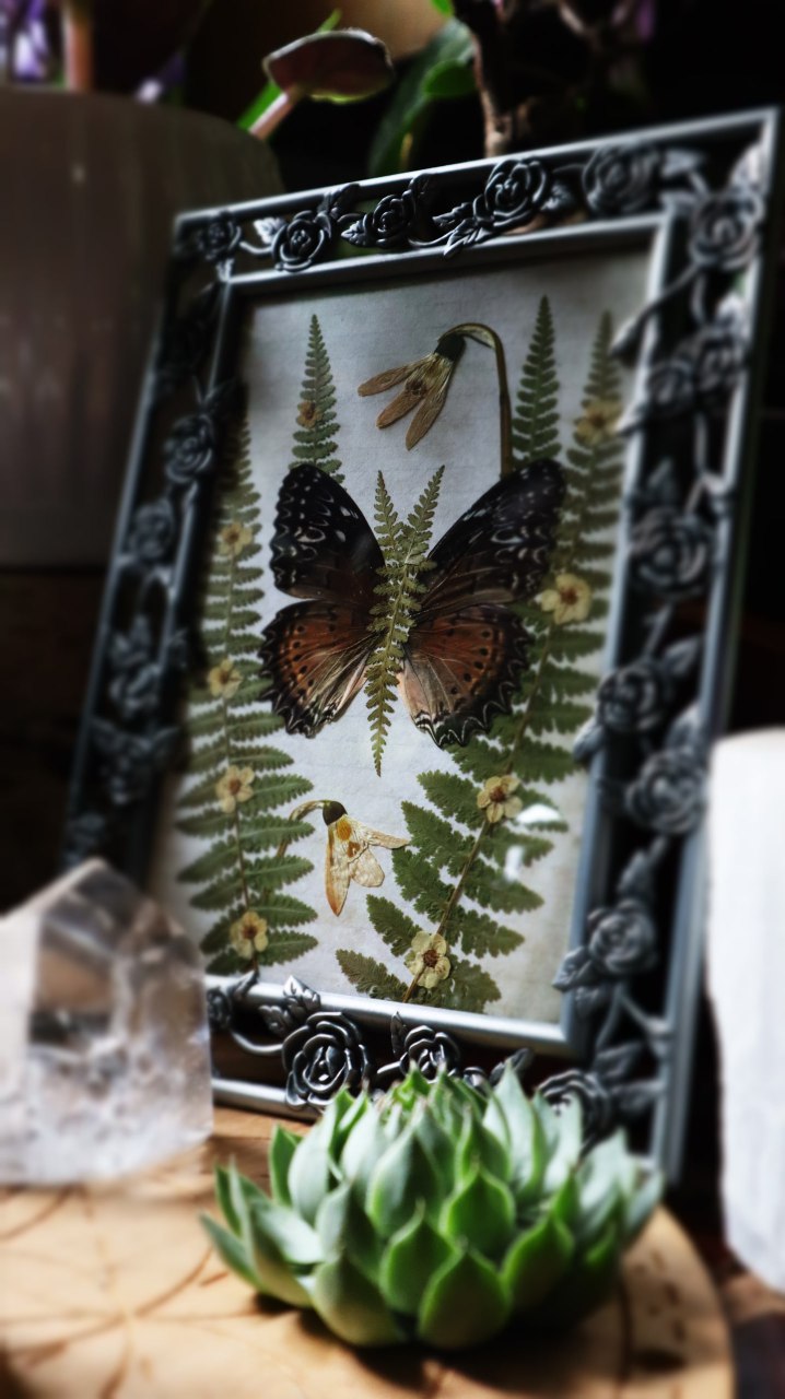 Fern Flutter Frame