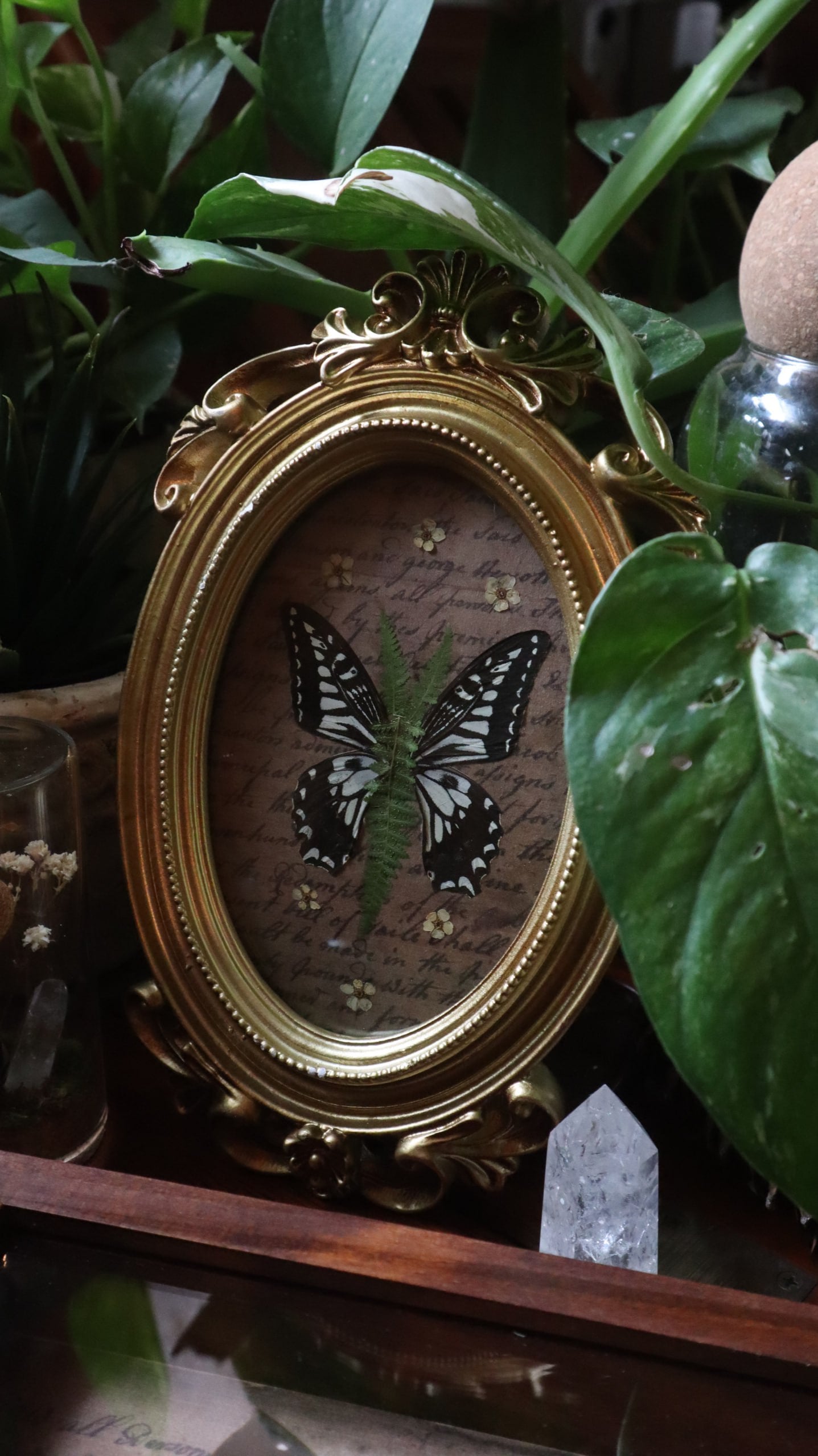 Fern Butterfly Frame