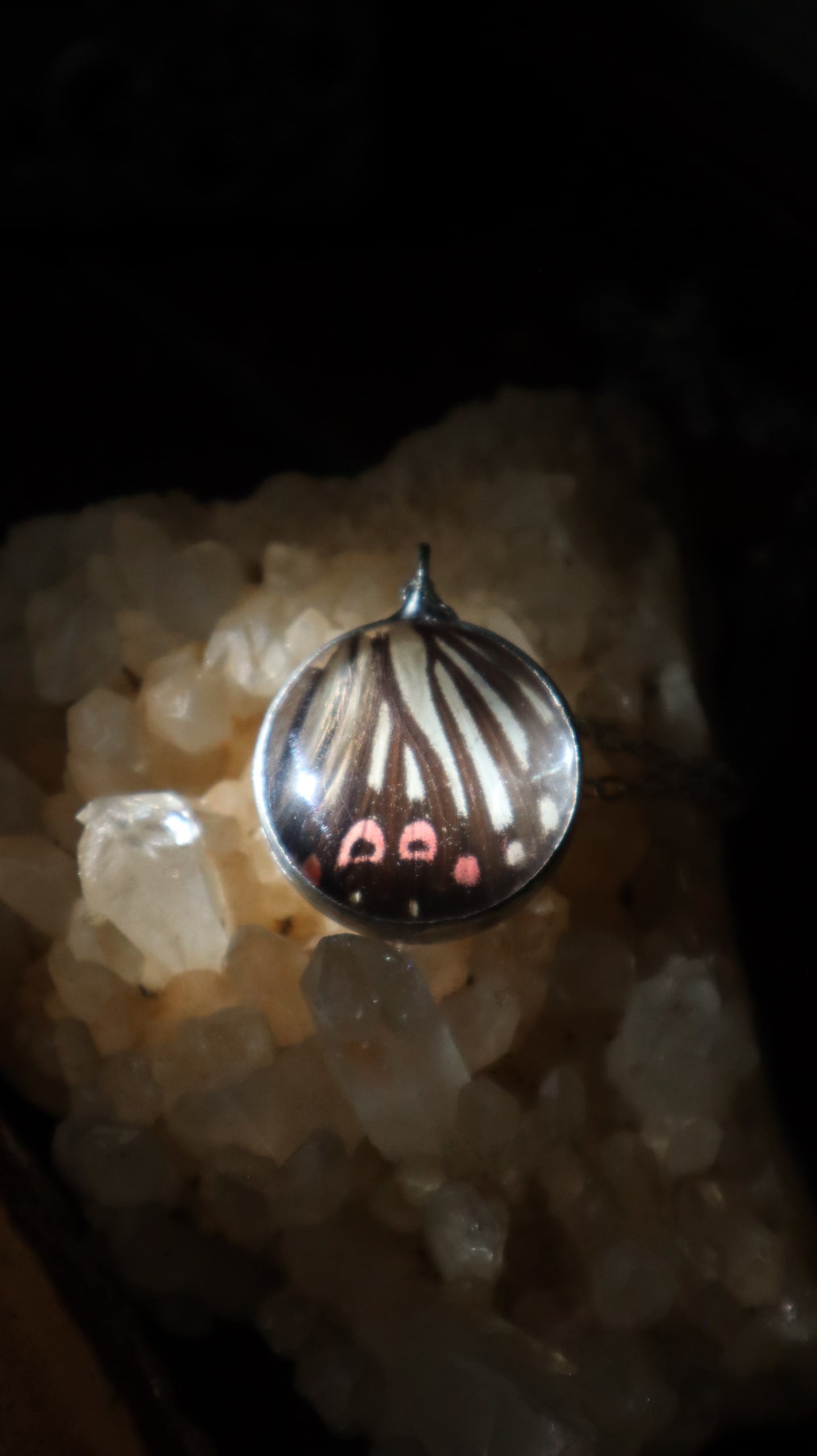 Black & Red Butterfly Wing Necklace