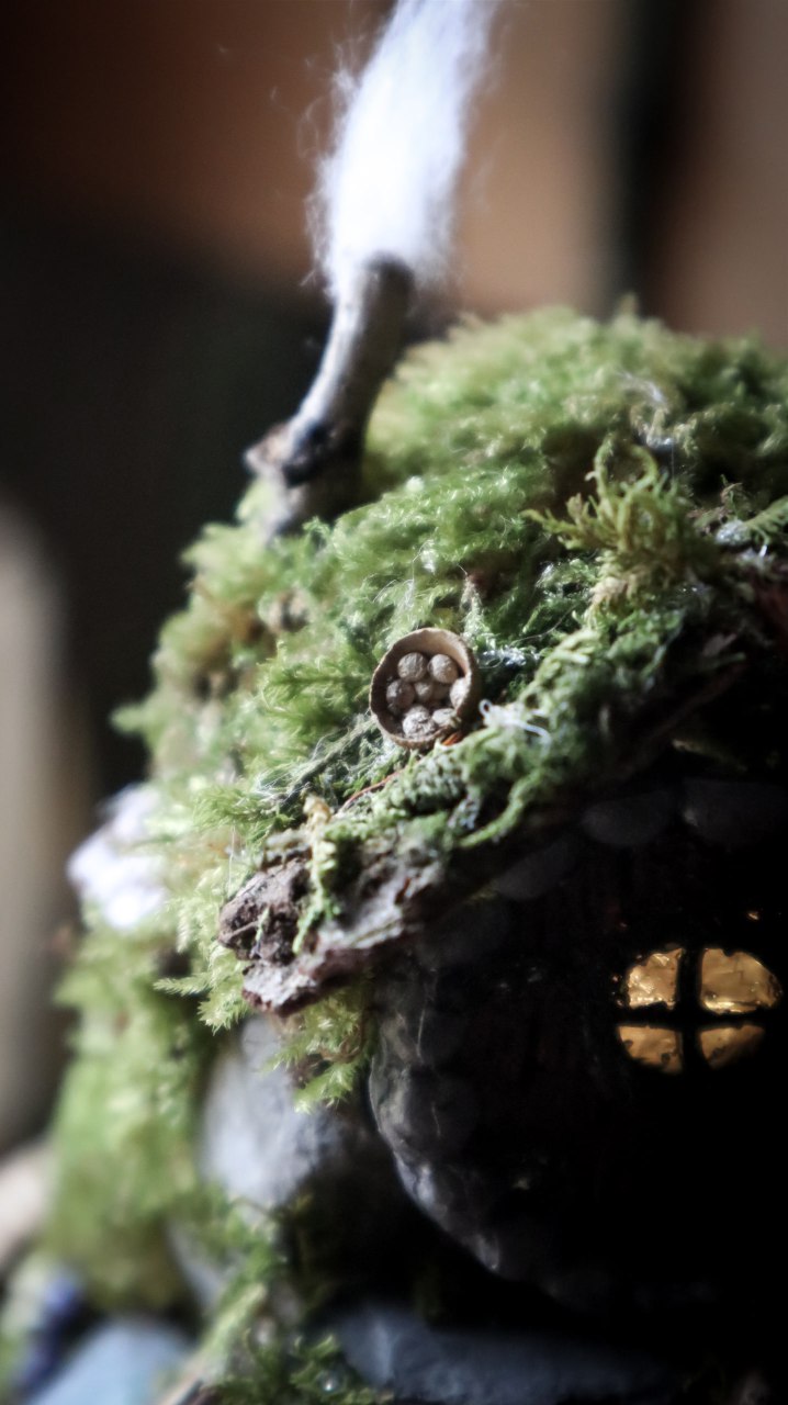 Hobbit Home 'Red Door'